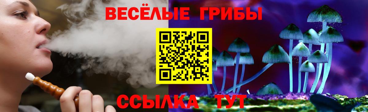 Псилоцибиновые грибы Psilocybine cubensis Нижневартовск